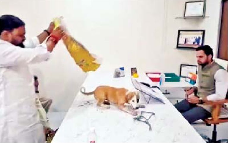 झोले में श्वान लाकर चीफ ऑफिसर के टेबल पर छोड़ दिया