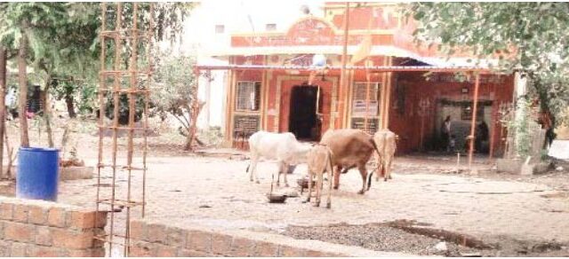 मस्त मंगा हनुमान मंदिर परिसर में हो रहा बगीचा तैयार