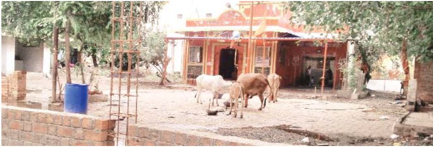 मस्त मंगा हनुमान मंदिर परिसर में हो रहा बगीचा तैयार