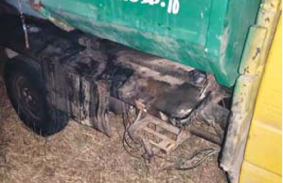निगम की 11 गाड़ियों से एक ही रात में बैटरी चोरी