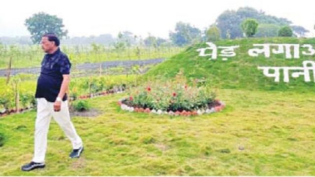 प्रभारी महापौर जानी पौधों की हालत