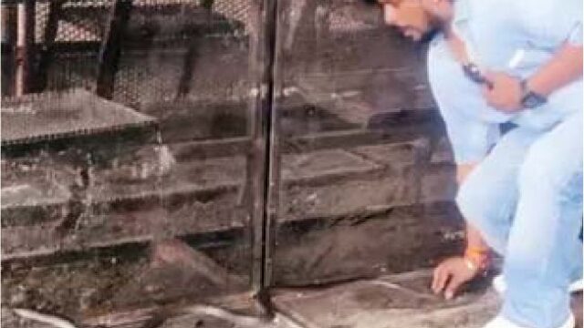सपेरे ने पकड़ लिया वीआईपी डोम में सांप