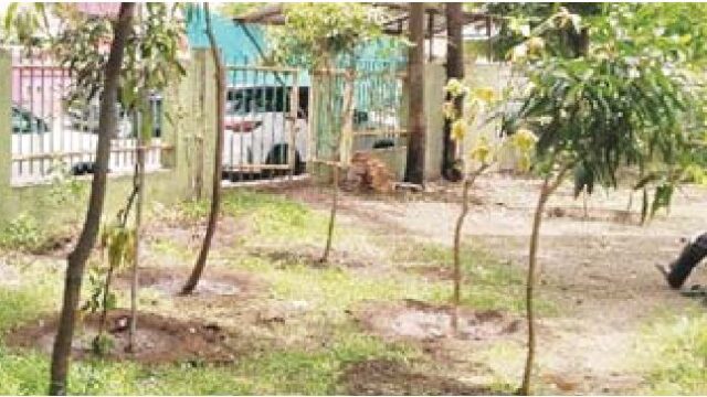 उजाड़ बेल्ट पर लाखों खर्च कर होगा संवारने का काम