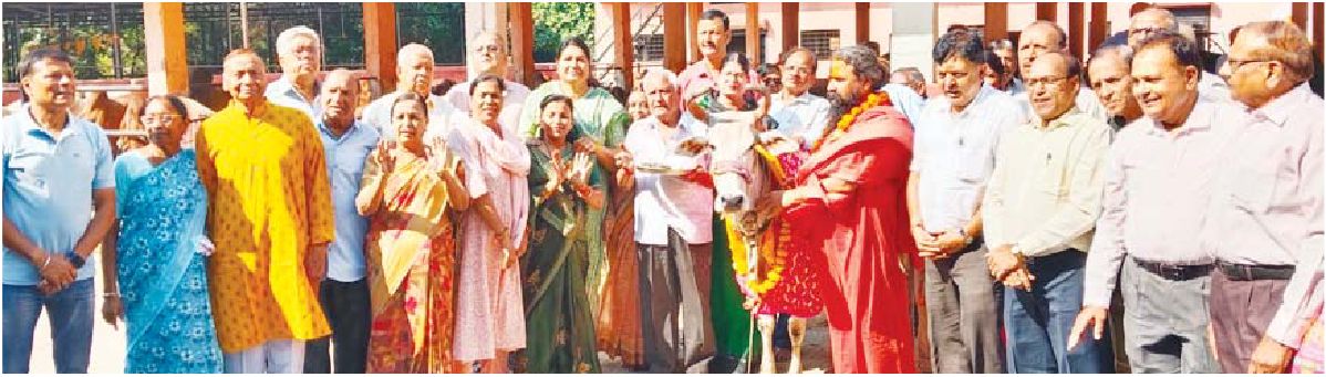 अमावस्या पर पूर्वजों की स्मृति में गौसेवा