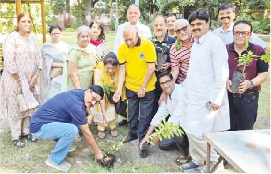 बैकुण्ठधाम में पौधारोपण