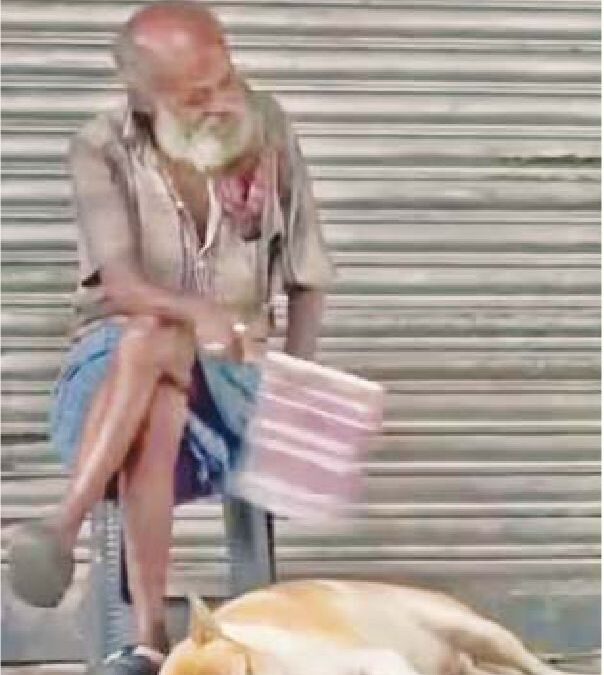 बेजुबान की सेवा