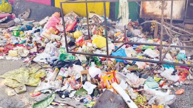 शहर में सफाई की व्यवस्था चरमराई