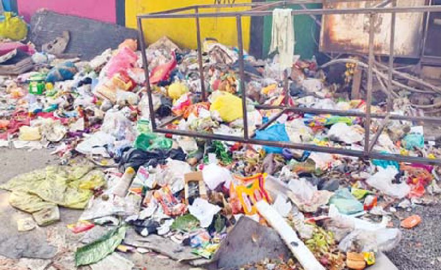 शहर में सफाई की व्यवस्था चरमराई