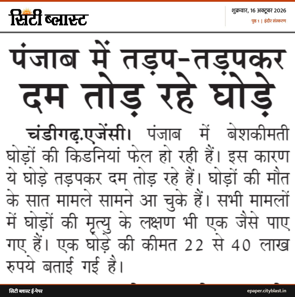 सिटी ब्लास्ट अख़बार की कटिंग: पंजाब में तड़प-तड़पकर दम तोड़ रहे घोड़े