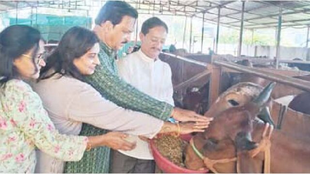 जैन फेडरेशन ने बापू को याद कर गौसेवा की