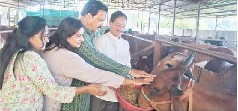 जैन फेडरेशन ने बापू को याद कर गौसेवा की