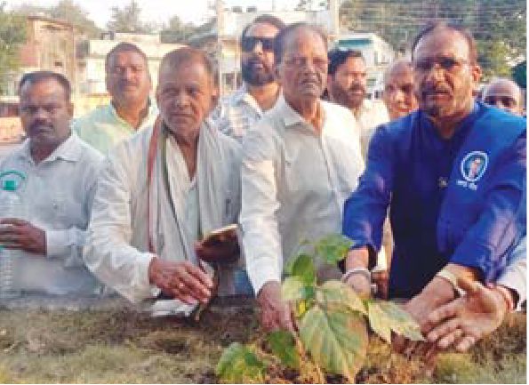 कामगार संघ ने किया स्मृति में पौधारोपण