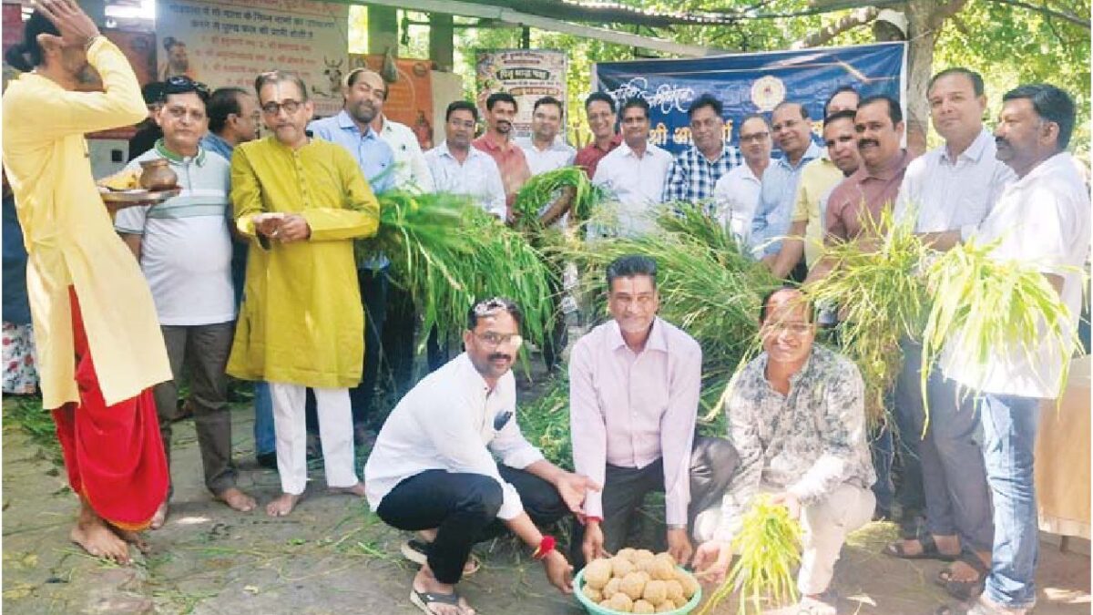 माहेश्वरी समाजजनों ने की गौसेवा