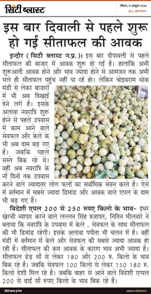 सिटी ब्लास्ट अख़बार की कटिंग: इस बार दिवाली से पहले शुरू हो गई सीताफल की आवक
